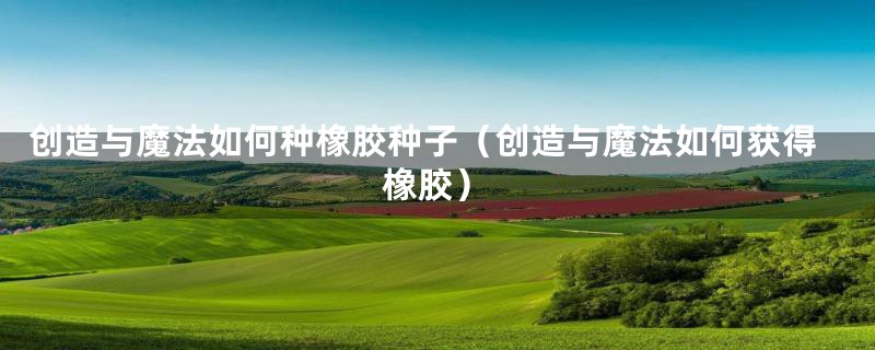 创造与魔法如何种橡胶种子（创造与魔法如何获得橡胶）