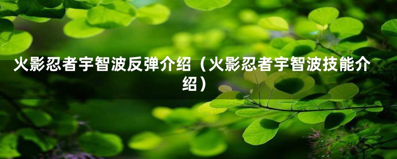 火影忍者宇智波反弹介绍（火影忍者宇智波技能介绍）