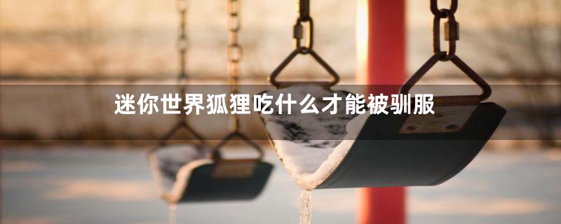 迷你世界狐狸吃什么才能被驯服