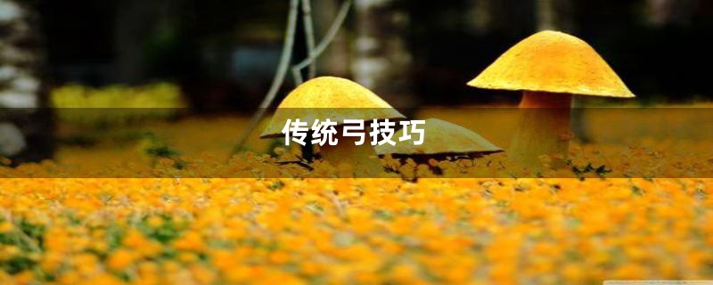 传统弓技巧