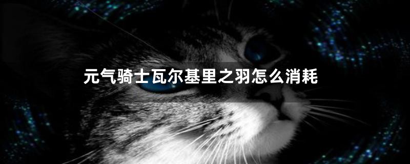 元气骑士瓦尔基里之羽怎么消耗