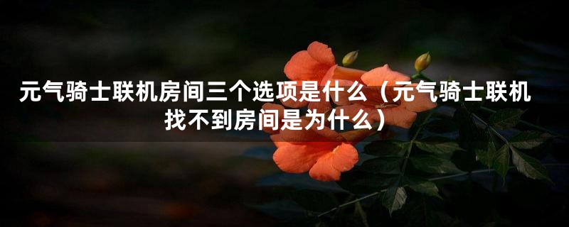 元气骑士联机房间三个选项是什么（元气骑士联机找不到房间是为什么）