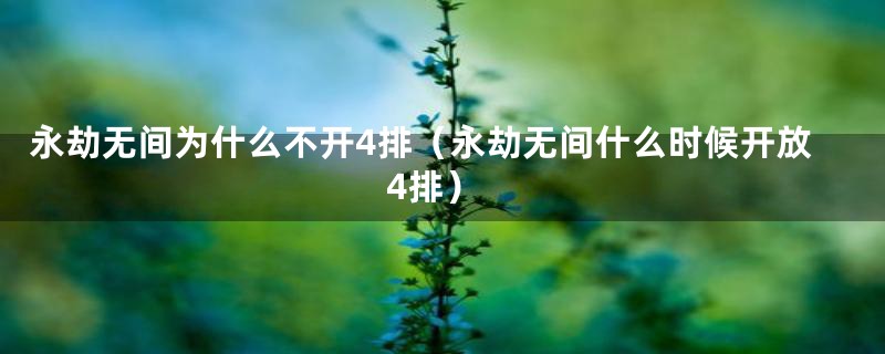 永劫无间为什么不开4排(永劫无间什么时候开放4排)