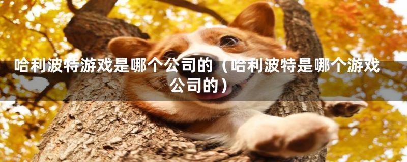 哈利波特游戏是哪个公司的（哈利波特是哪个游戏公司的）