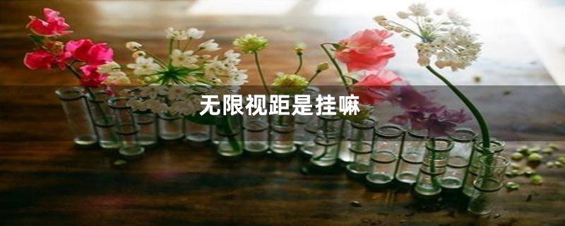 无限视距是挂嘛