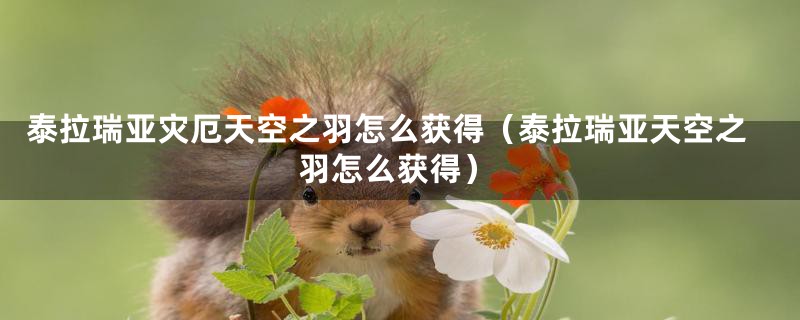 泰拉瑞亚灾厄天空之羽怎么获得(泰拉瑞亚天空之羽怎么获得)
