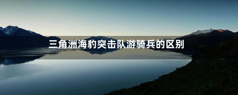 三角洲海豹突击队游骑兵的区别