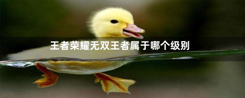 王者荣耀无双王者属于哪个级别