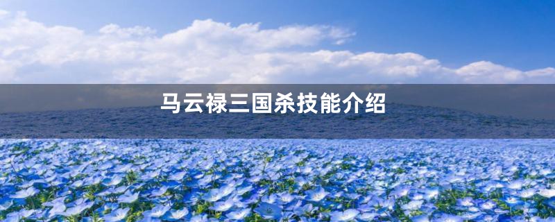 马云禄三国杀技能介绍