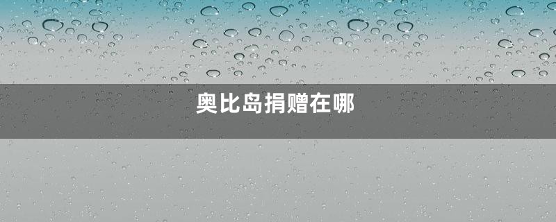 奥比岛捐赠在哪