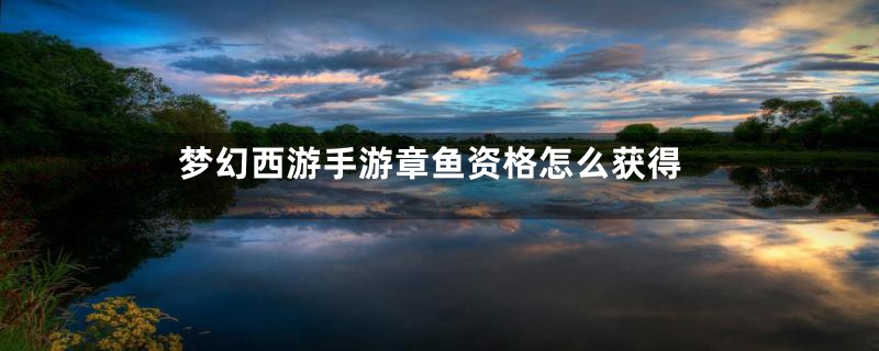 梦幻西游手游章鱼资格怎么获得