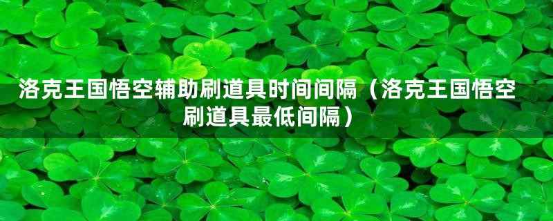 洛克王国悟空辅助刷道具时间间隔(洛克王国悟空刷道具最低间隔)