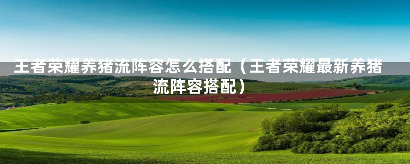 王者荣耀养猪流阵容怎么搭配(王者荣耀最新养猪流阵容搭配)