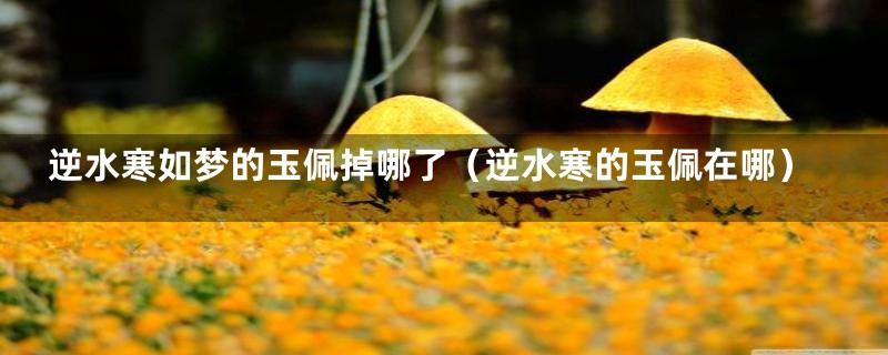 逆水寒如梦的玉佩掉哪了(逆水寒的玉佩在哪)