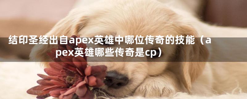 结印圣经出自apex英雄中哪位传奇的技能（apex英雄哪些传奇是cp）