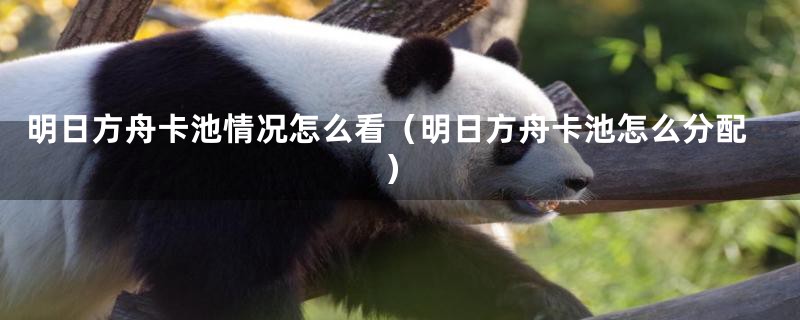 明日方舟卡池情况怎么看（明日方舟卡池怎么分配）
