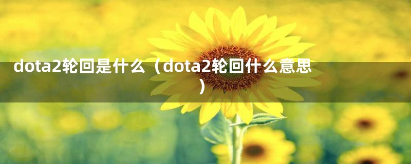 dota2轮回是什么（dota2轮回什么意思）