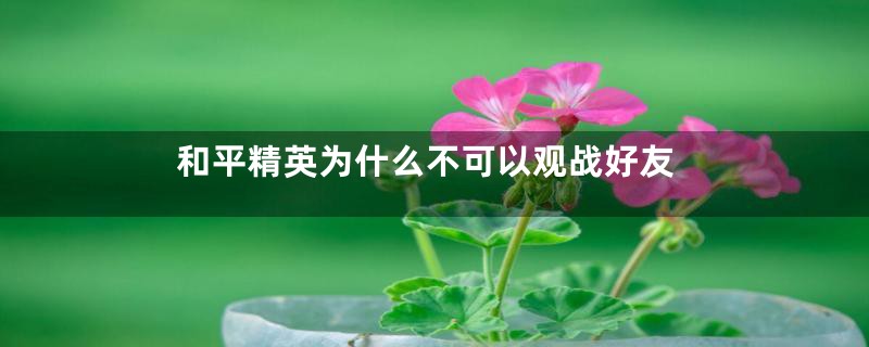 和平精英为什么不可以观战好友