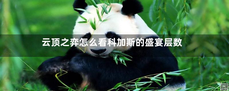 云顶之弈怎么看科加斯的盛宴层数