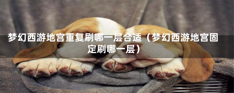 梦幻西游地宫重复刷哪一层合适(梦幻西游地宫固定刷哪一层)