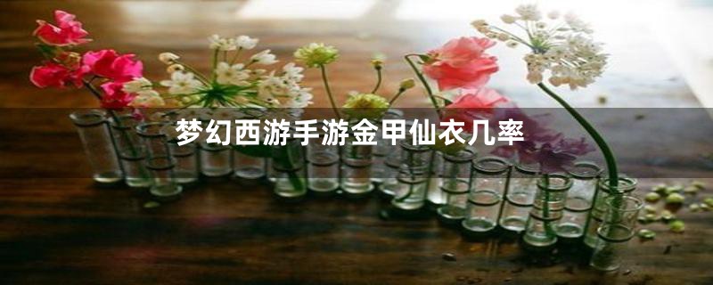 梦幻西游手游金甲仙衣几率