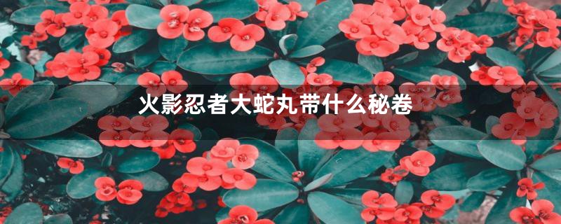 火影忍者大蛇丸带什么秘卷