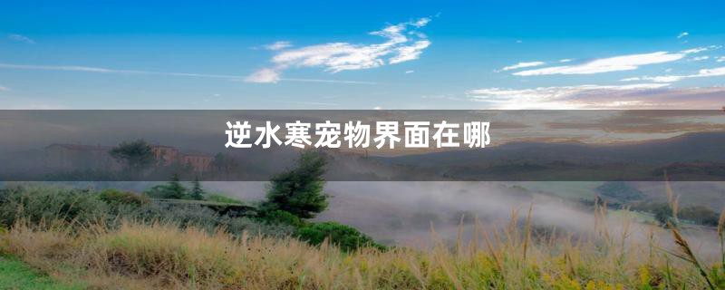 逆水寒宠物界面在哪