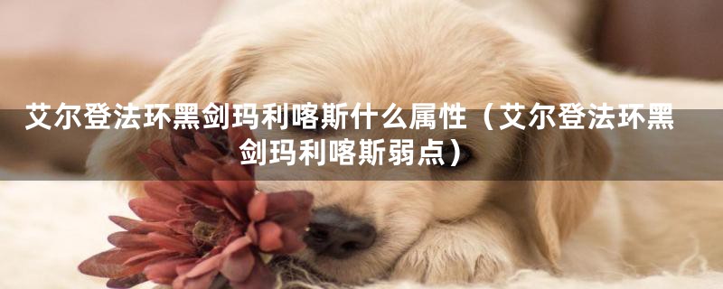 艾尔登法环黑剑玛利喀斯什么属性（艾尔登法环黑剑玛利喀斯弱点）
