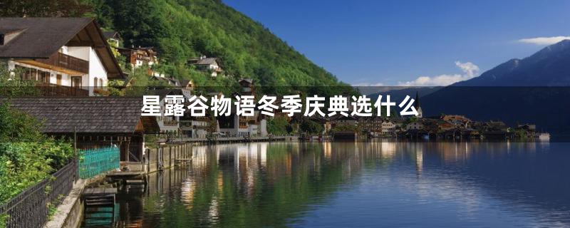 星露谷物语冬季庆典选什么