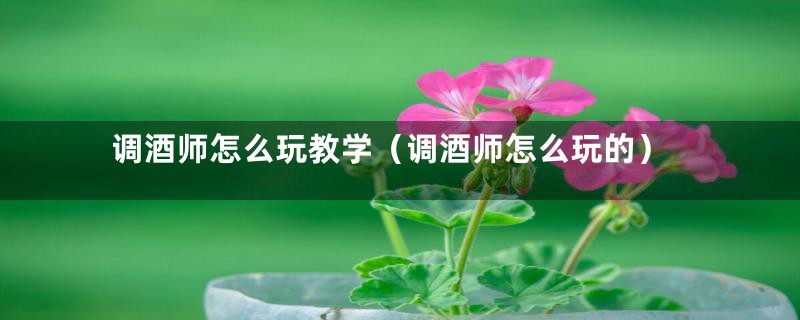 调酒师怎么玩教学(调酒师怎么玩的)