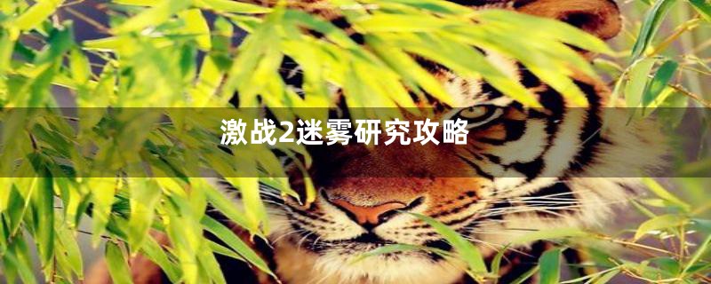 激战2迷雾研究攻略