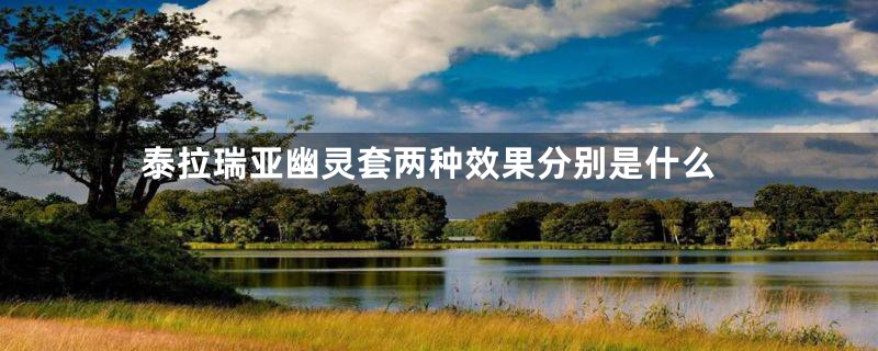 泰拉瑞亚幽灵套两种效果分别是什么