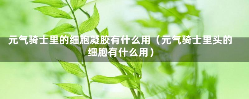 元气骑士里的细胞凝胶有什么用(元气骑士里头的细胞有什么用)