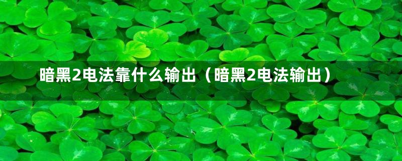暗黑2电法靠什么输出（暗黑2电法输出）