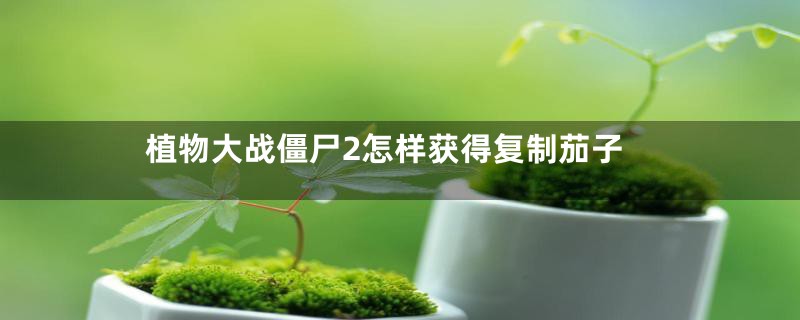 植物大战僵尸2怎样获得复制茄子