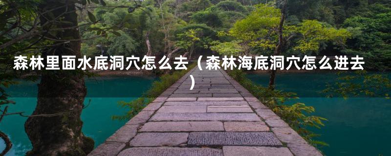 森林里面水底洞穴怎么去（森林海底洞穴怎么进去）