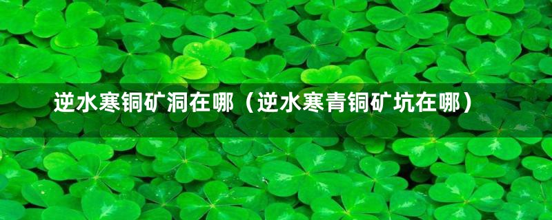 逆水寒铜矿洞在哪(逆水寒青铜矿坑在哪)