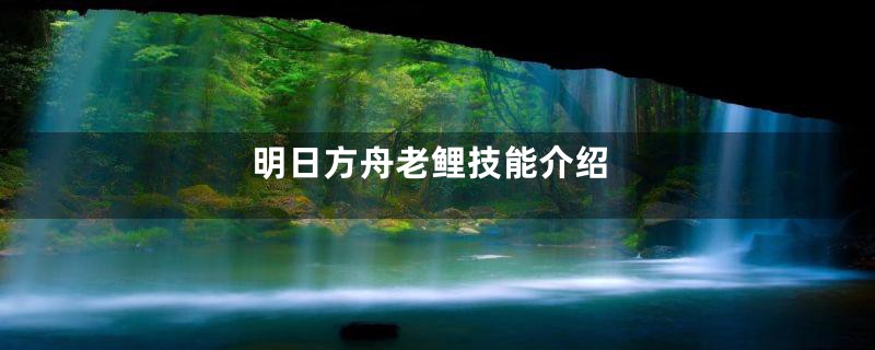 明日方舟老鲤技能介绍