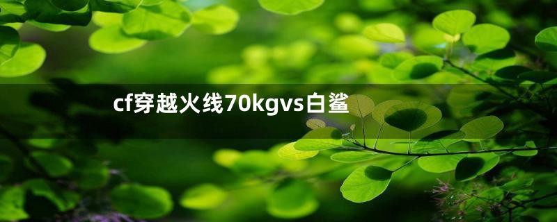 cf穿越火线70kgvs白鲨