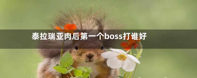 泰拉瑞亚肉后第一个boss打谁好
