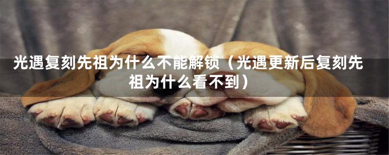 光遇复刻先祖为什么不能解锁（光遇更新后复刻先祖为什么看不到）