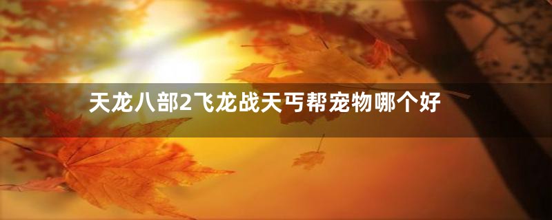 天龙八部2飞龙战天丐帮宠物哪个好