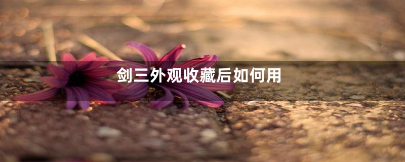 剑三外观收藏后如何用