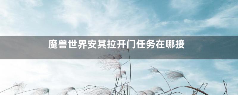 魔兽世界安其拉开门任务在哪接