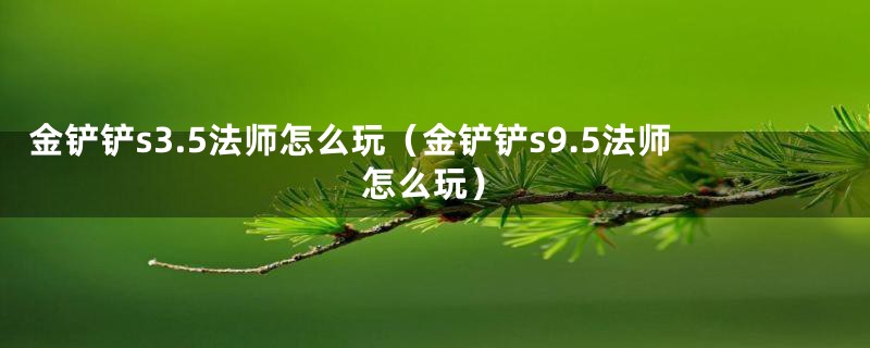 金铲铲s3.5法师怎么玩(金铲铲s9.5法师怎么玩)