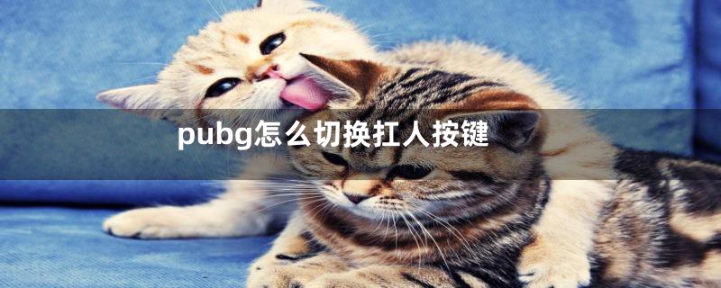 pubg怎么切换扛人按键