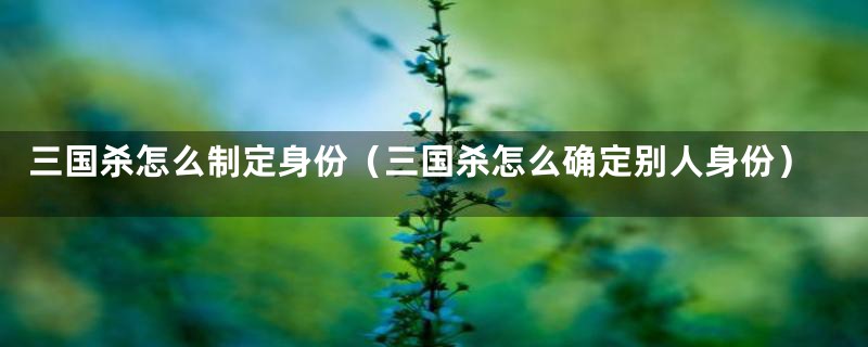 三国杀怎么制定身份(三国杀怎么确定别人身份)