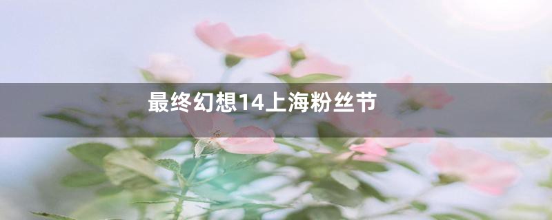 最终幻想14上海粉丝节