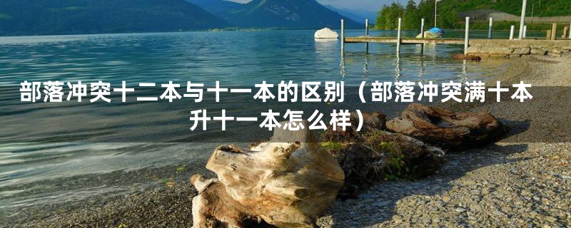 部落冲突十二本与十一本的区别（部落冲突满十本升十一本怎么样）