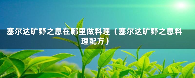 塞尔达旷野之息在哪里做料理（塞尔达旷野之息料理配方）